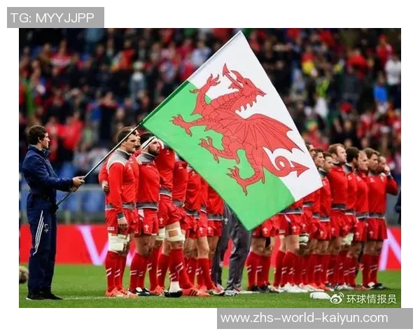 威尔士与比利时激战正酣谁能在欧预赛中笑到最后 威尔士与比利时激战正酣谁能在欧预赛中笑到最后